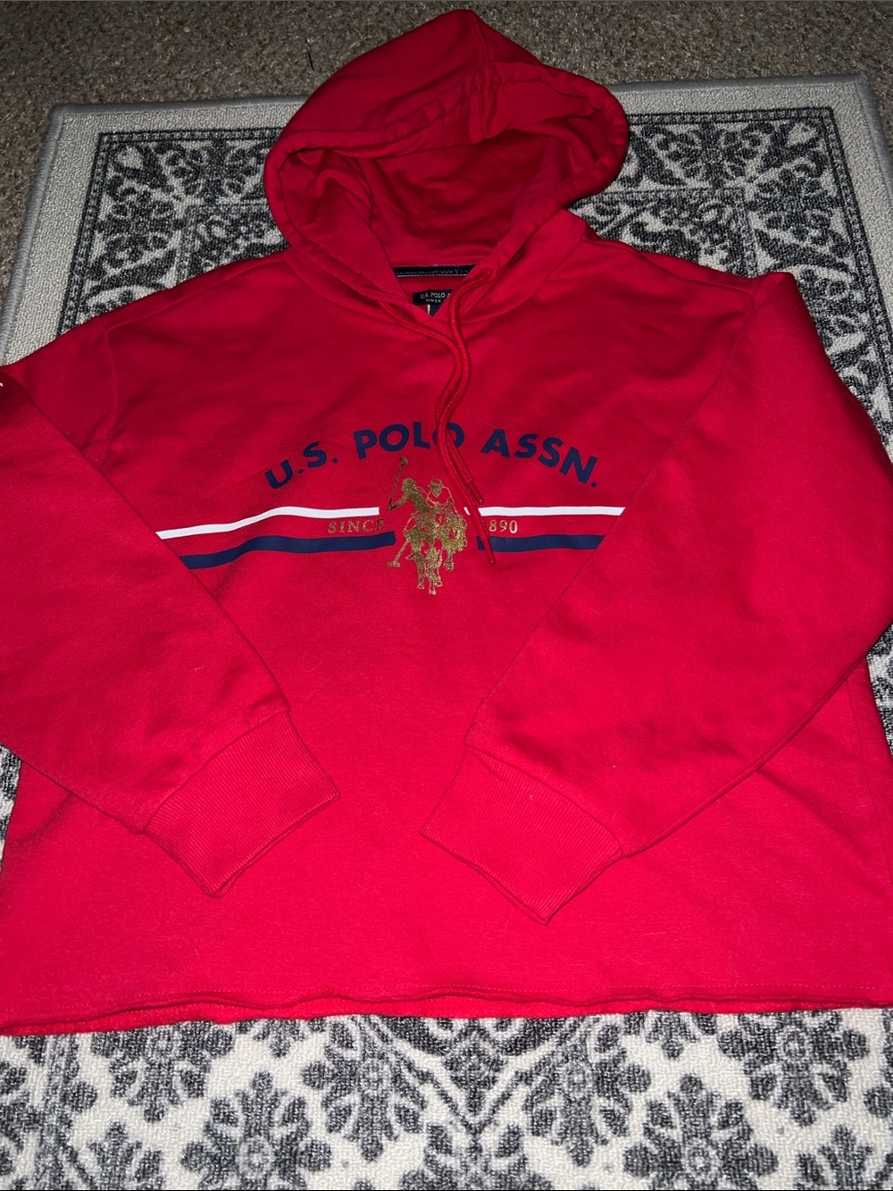 US Polo Assn Sweatshirt Hoodie